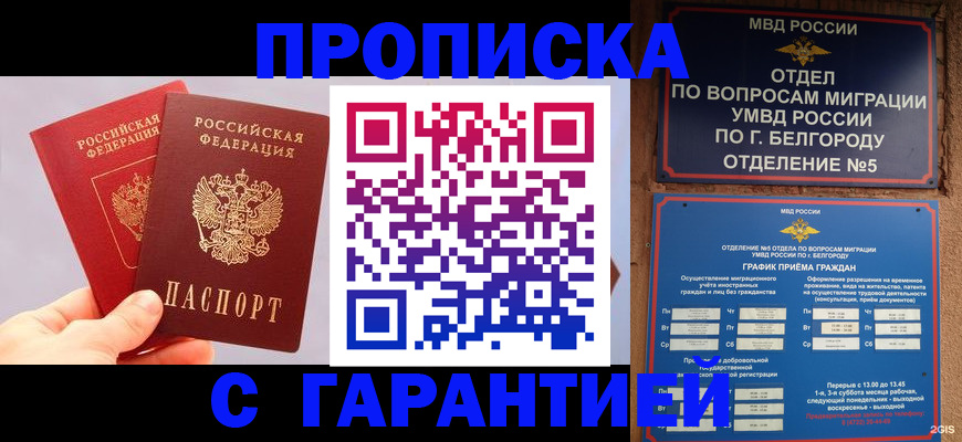 прописка 2025 в Североморске